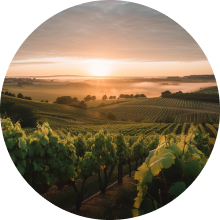 marathon   cote chalonnaise  Givry Mellecey courses 