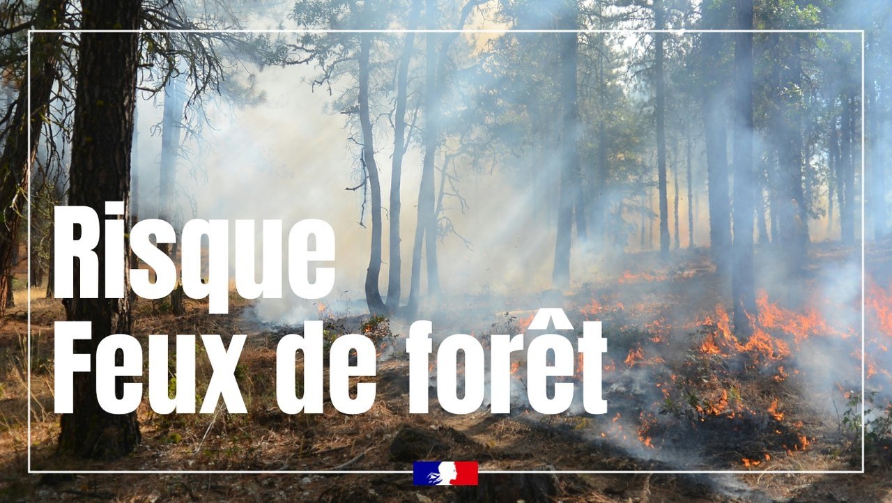 Risque feux de forêt