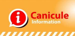 Infos c
